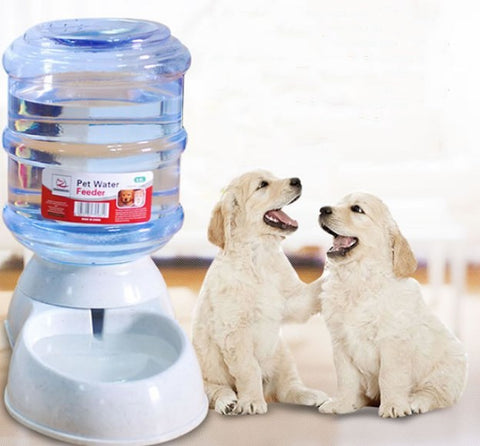 Cats Dogs Automatic Pet Feeder Drinking Water